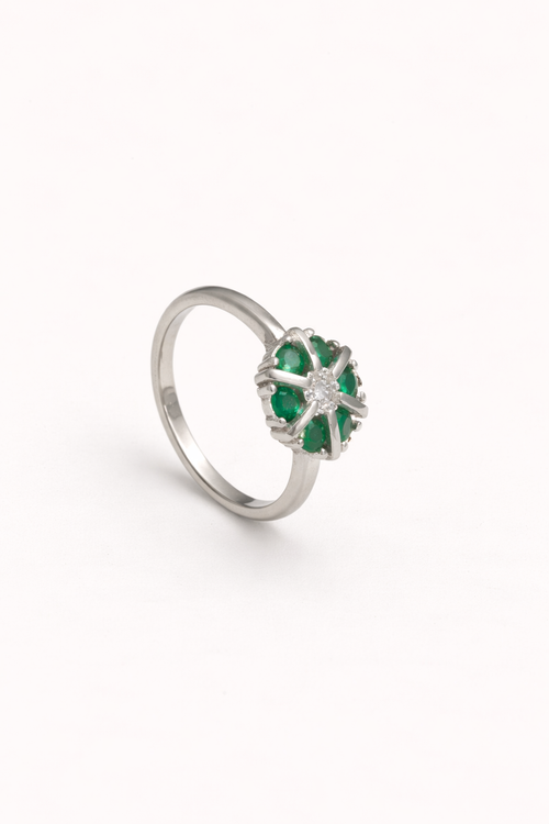 Bloom Cluster Ring