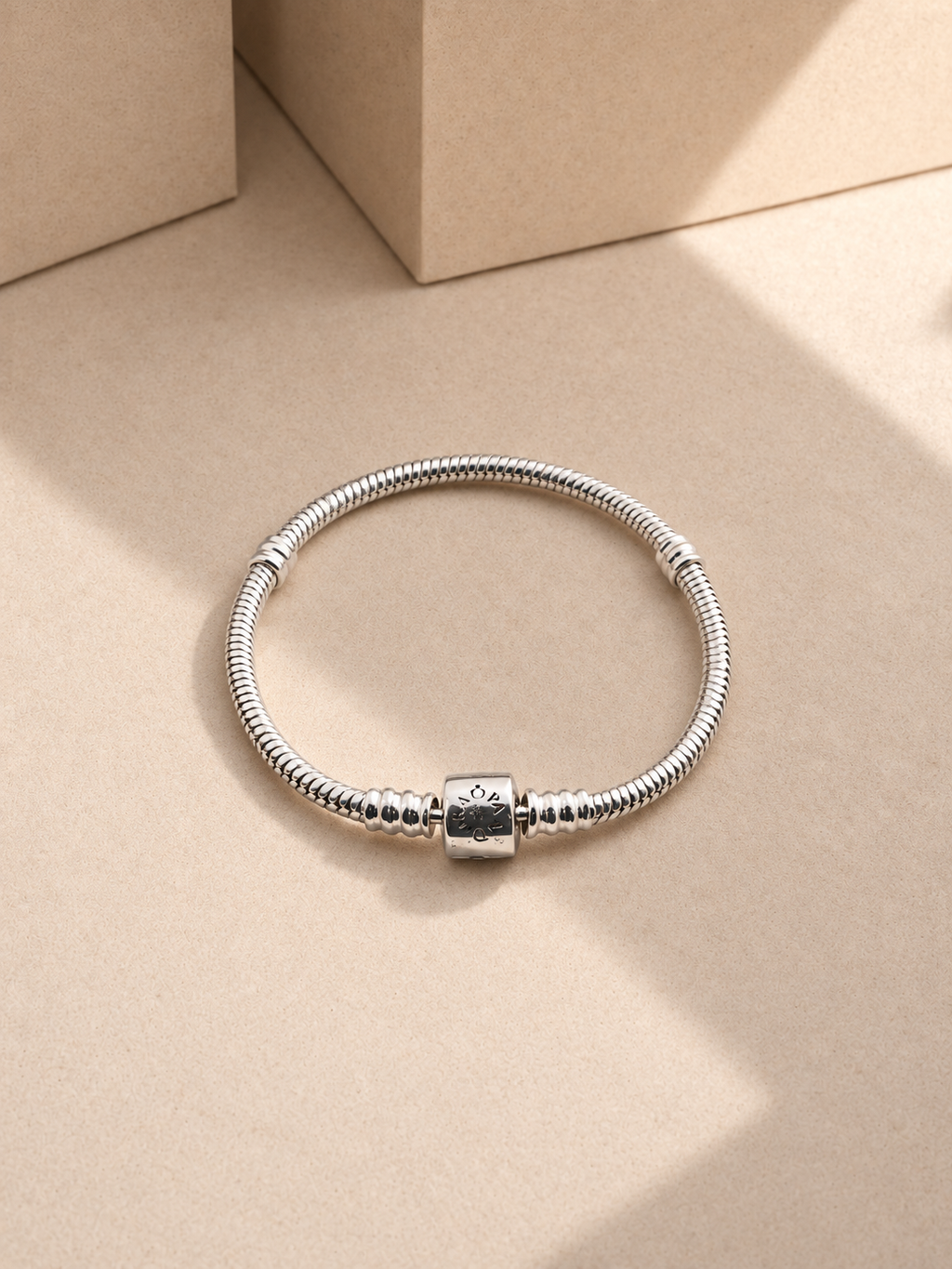 Anviora Silver Serpent Bracelet