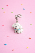 Anviora Charm