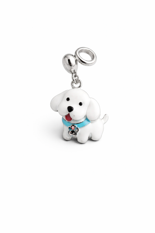 Anviora Charm