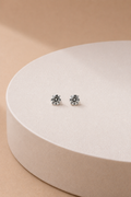 Everglow Studs