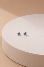 Everglow Studs