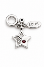 Scorpio Star Charm